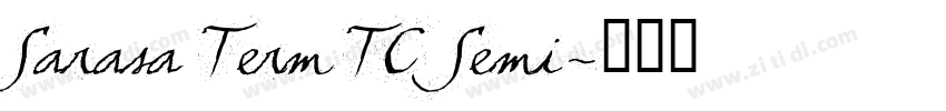 Sarasa Term TC Semi字体转换